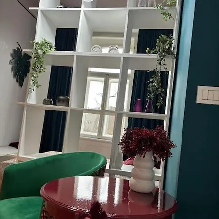 Joy Prefectura 16 Timisoara